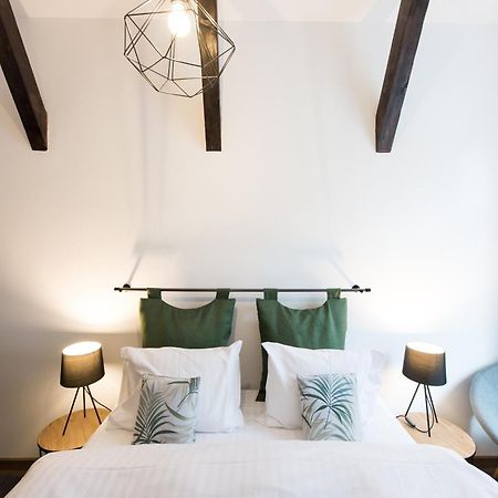 Lovely Brasov Flat With Patio And Mountain Views エクステリア 写真