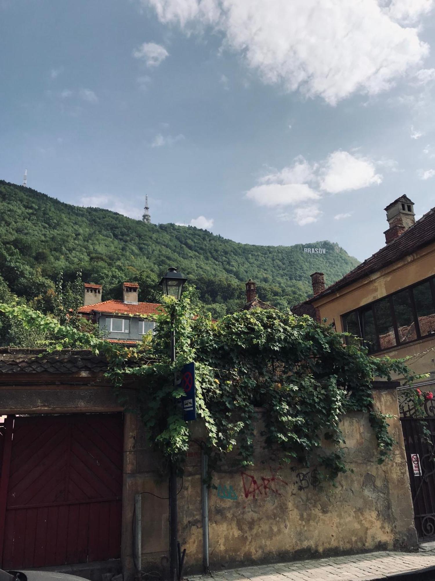 Lovely Brasov Flat With Patio And Mountain Views エクステリア 写真